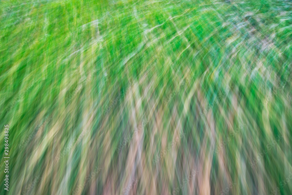 Falling leaves in an impressionist style. Falling leaves in an impressionist style.