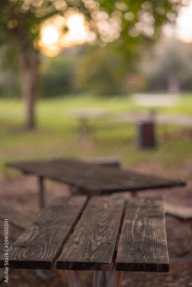 Fototapeta premium Wood picnic tables in the park blurry background