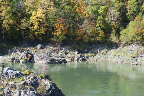 日本国北海道の秋の紅葉の山と川