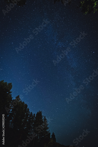 The magical and ethereal night sky with views of the milky way, nebulas, and stars within the Pacific North West's Bowen Island in stunning British Columbia Canada.