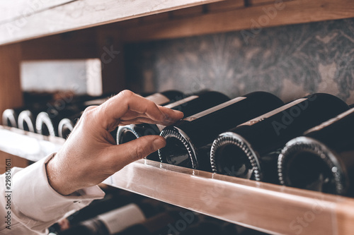 Принти на полотні Sommelier Concept