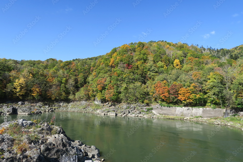 日本国北海道の秋の紅葉の山と川
