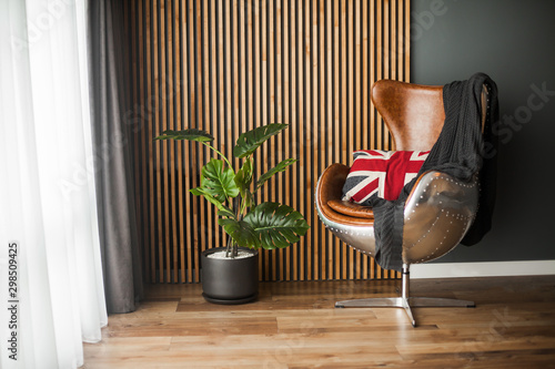 modern interior with armchair and green plant