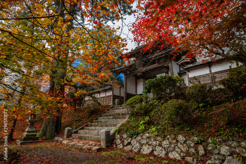 京都 龍穏寺の紅葉と秋景色