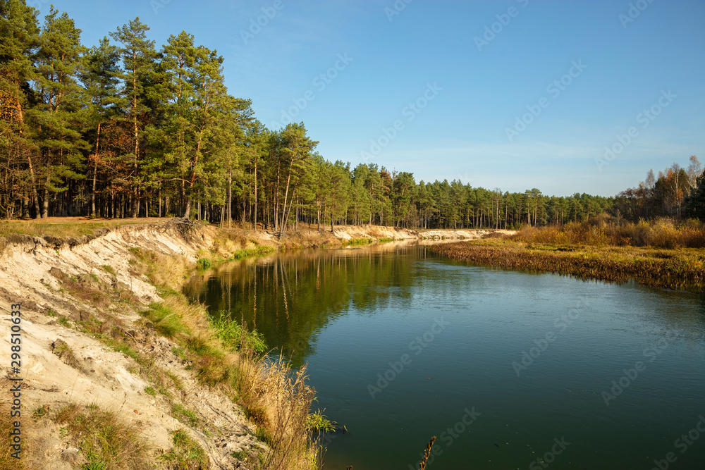 Forest autumn landscape. High sandy riverbank. Pine forest is reflected in the river.