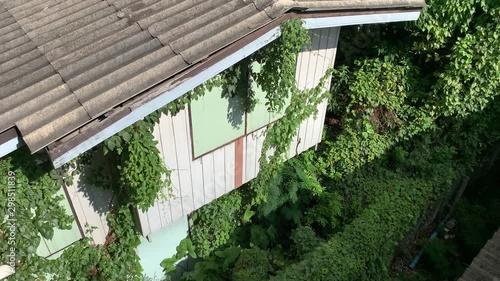 Handheld Shot of Abandoned House Facade Covered whit Green Vines photo