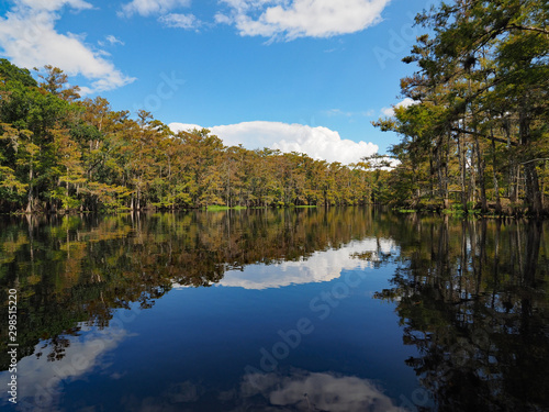 Wooded shores and clouds reflected on the still water of Fisheating Creek, Florida on autumn afternoon.
