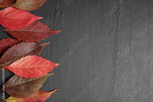 Flat lay composition with autumn leaves on dark grey stone background. Space for text