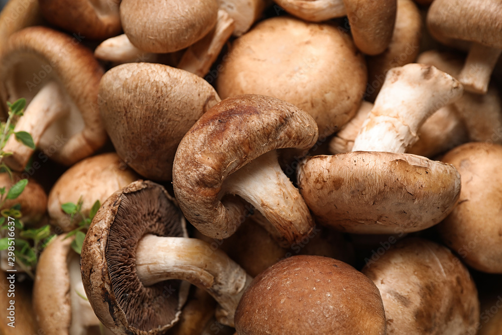 Different fresh wild mushrooms as background, closeup Different fresh wild mushrooms as background, closeup