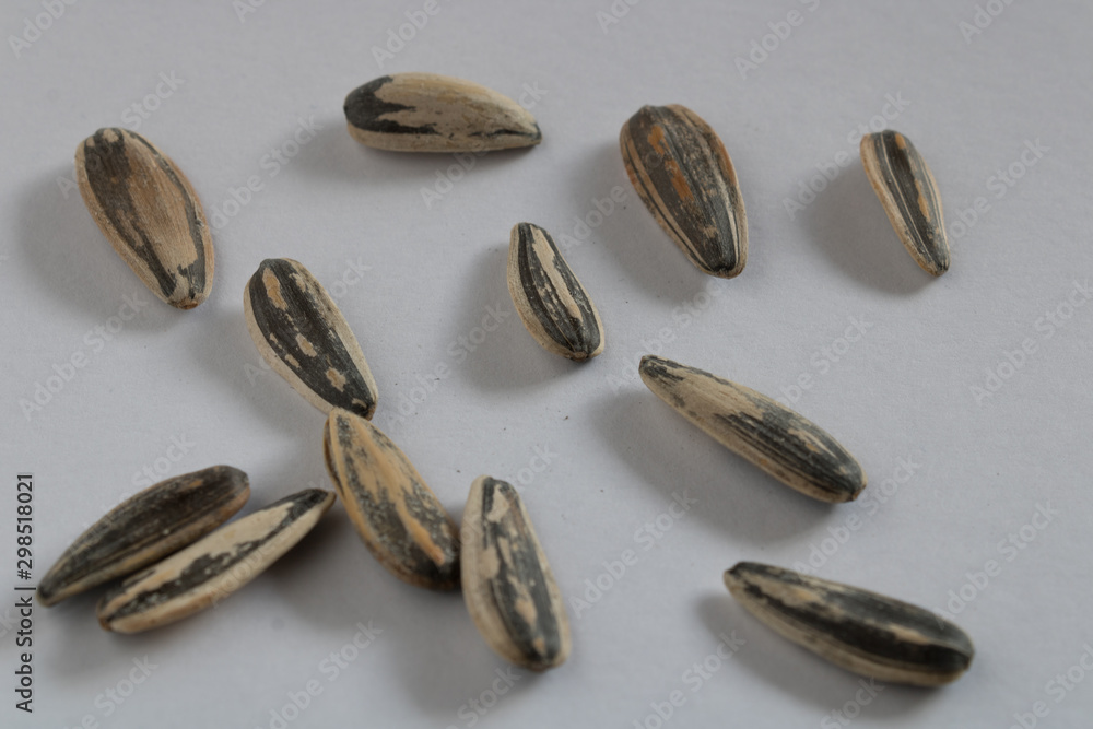 sunflower seeds isolated on white sunflower seeds isolated on white
