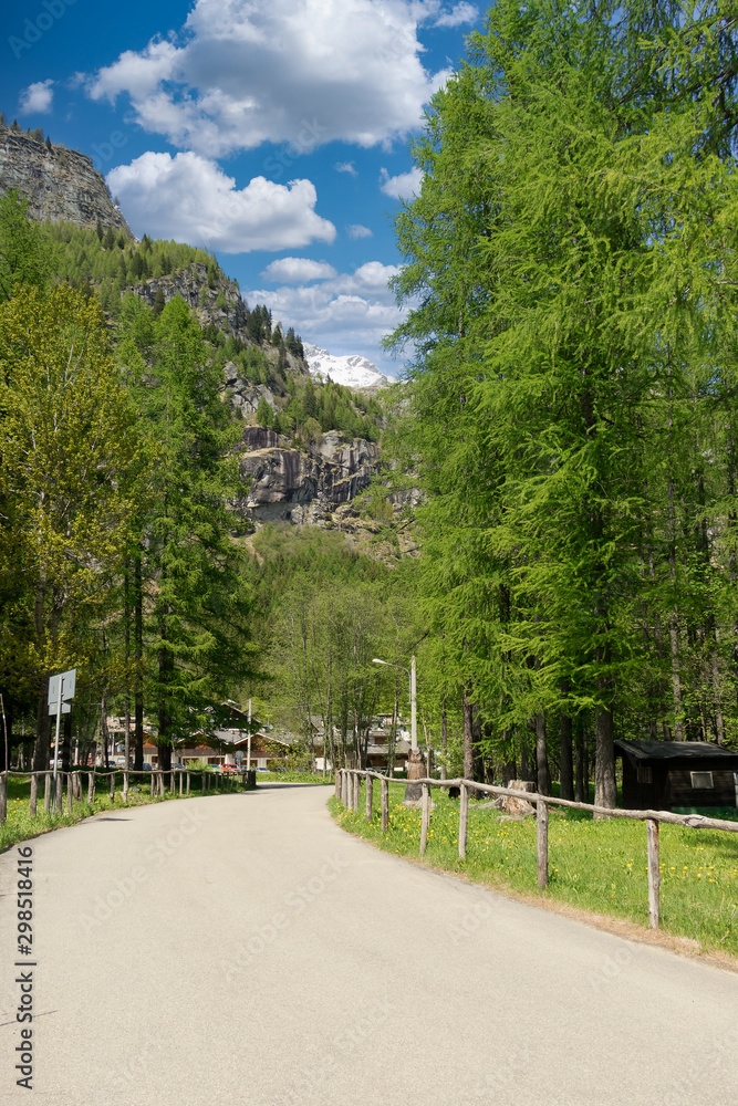 small mountain road in the spring