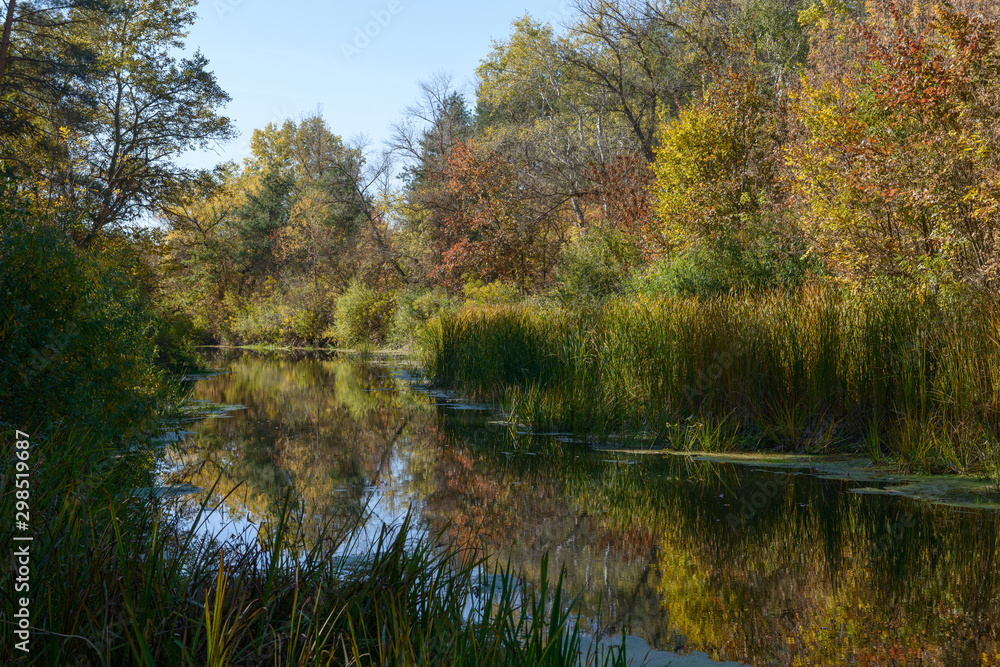 Scenic view of small river in the autumn forest, Ukraine. Scenic view of small river in the autumn forest, Ukraine.