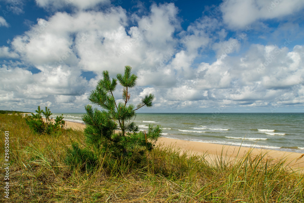 Baltic sea. Beautiful landscape. View of coastline.