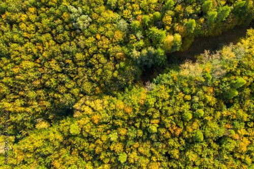Waldgebiet im Herbst, Drohnenfoto