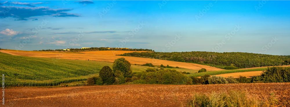 hills are agricultural land, plowed land and a wheat field with a dirt road