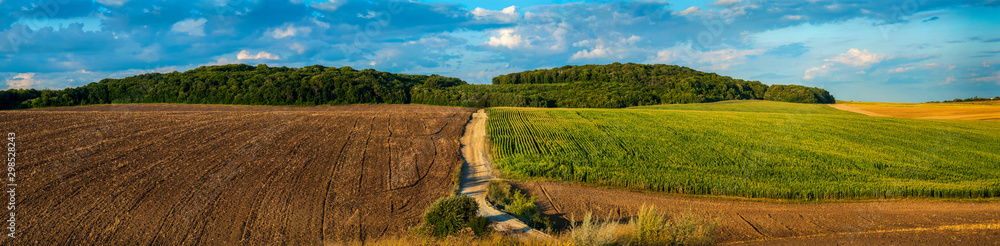 hills are agricultural land, plowed land and a wheat field with a dirt road