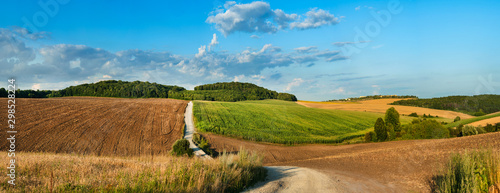 hills are agricultural land  plowed land and a wheat field with a dirt road