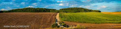 hills are agricultural land, plowed land and a wheat field with a dirt road