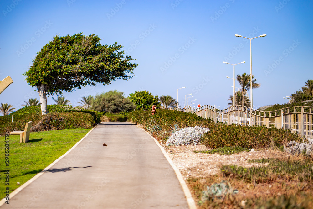 promenade of the Mediterranean sea in Haifa.