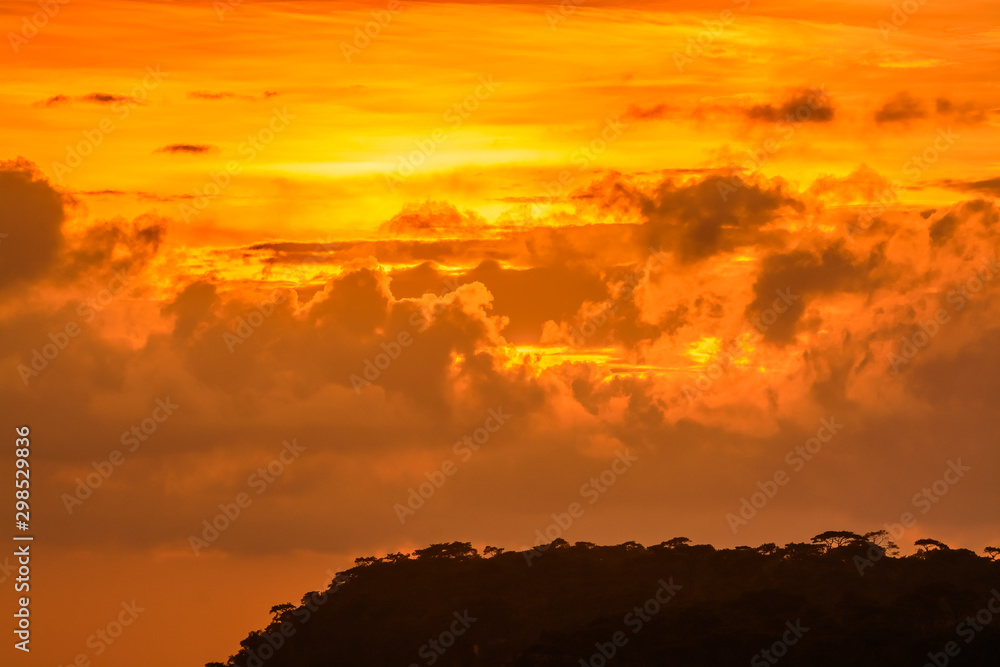 Beautiful sunset with golden sky and golden clouds at the Mak dook Cliff, Phu Kradueng National park, famous tourist destination in Thailand