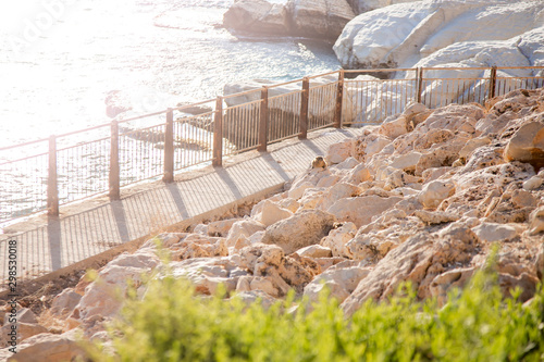 Cape Daman sits among the stones