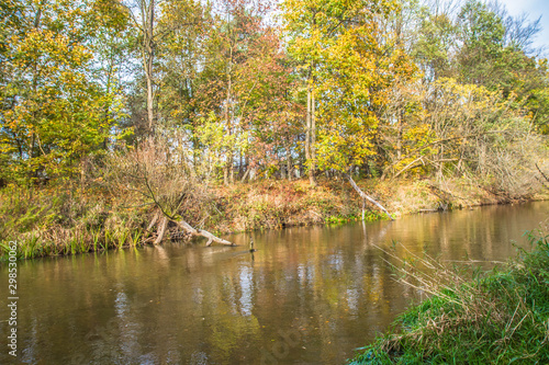 Swider river in Masovia  Poland in autumn