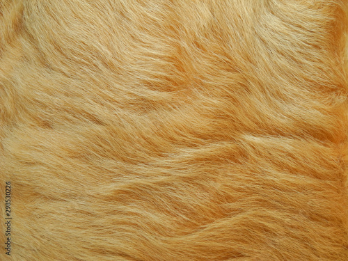 Goat fur natural texture background 