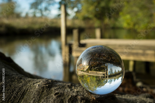 Nature in a glass sphere.
