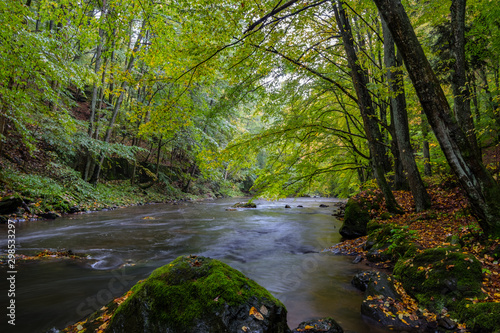 autumn forest and river in rainy weather  Czech Republic  autumn landscape