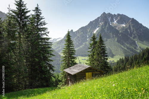 Berglandschaft im Montafon  Vorarlberg    sterreich