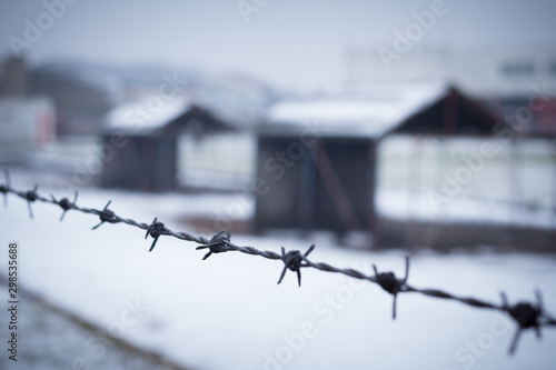 barbed wire closeup with detention camp in background photo