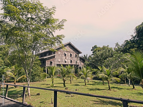 Jungle house with wooden windows