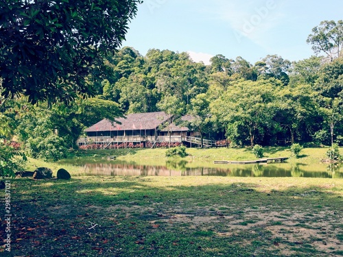 Jungle house near pond