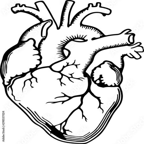 Corazón