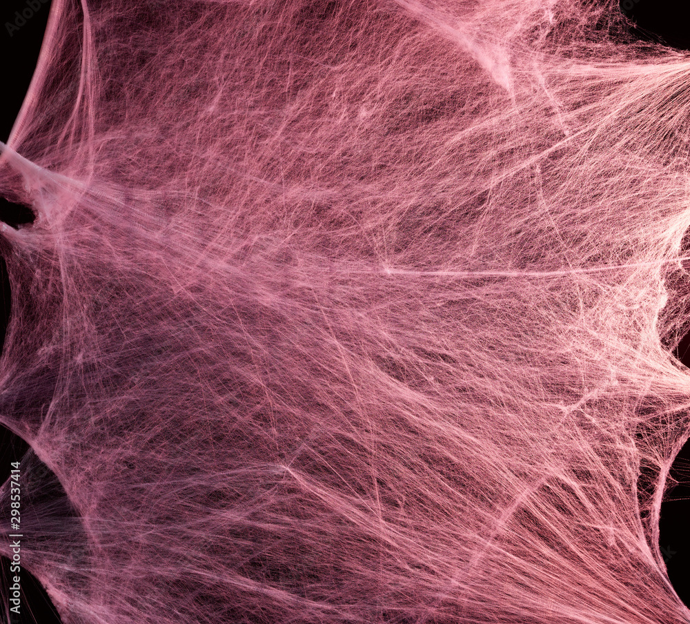 Obraz premium stretched white web with red backlight, background for the holiday Halloween