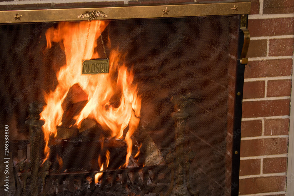 Obraz premium fire in the fireplace