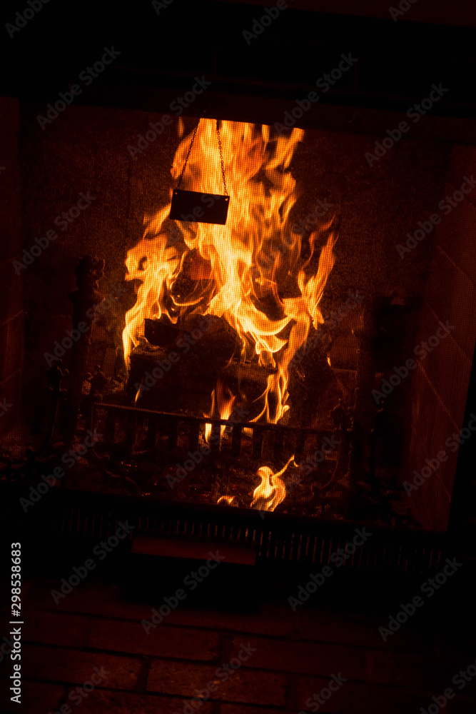 Fototapeta premium fire in the fireplace