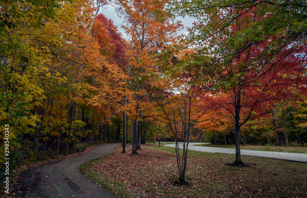 Naklejka premium Autumn in the Park