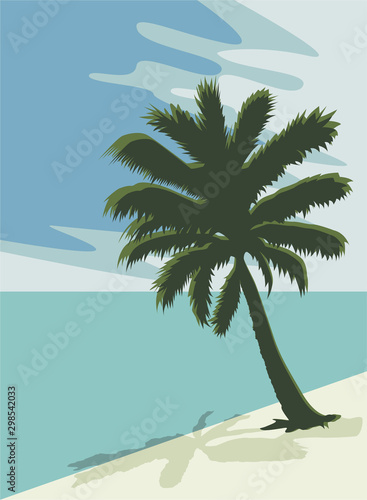 palm on the beach vector