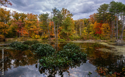 Wonderful Autumn Colors at the Lake