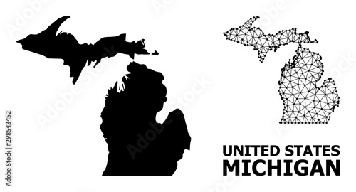 Solid and Mesh Map of Michigan State