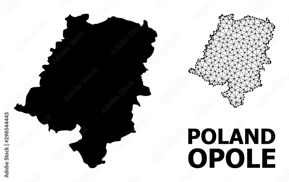 Solid and Mesh Map of Opole Province