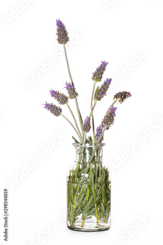 Lavender in glass Vase isolated on white background.