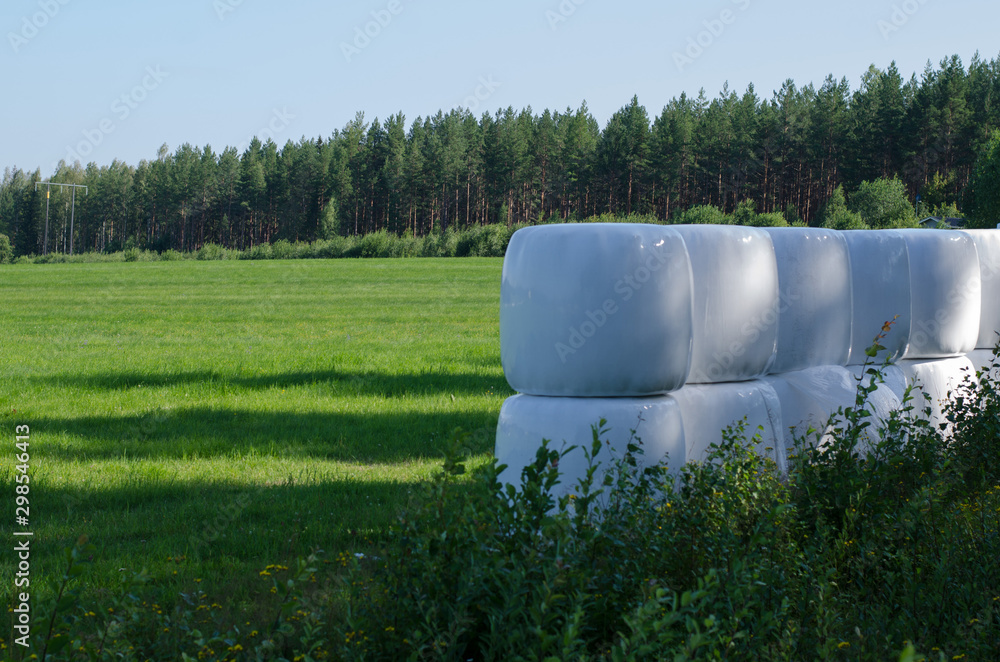 Obraz premium Hay bale fermenting