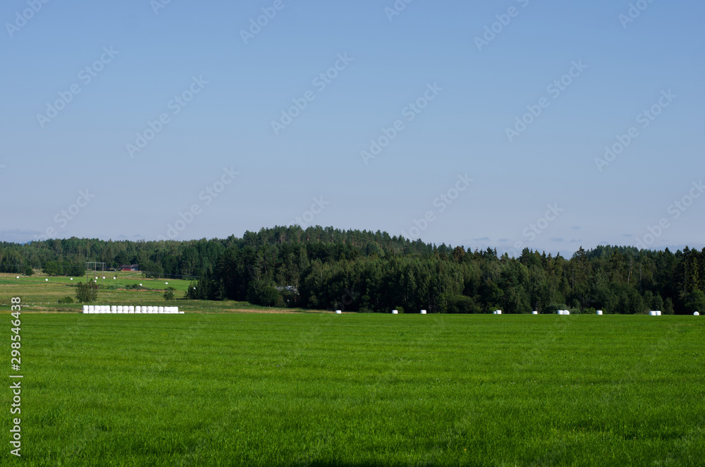 Hay bale fermenting Hay bale fermenting