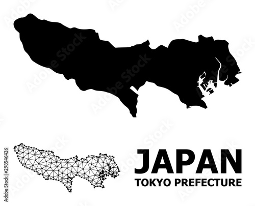 Canvas Print Solid and Wire Frame Map of Tokyo Prefecture