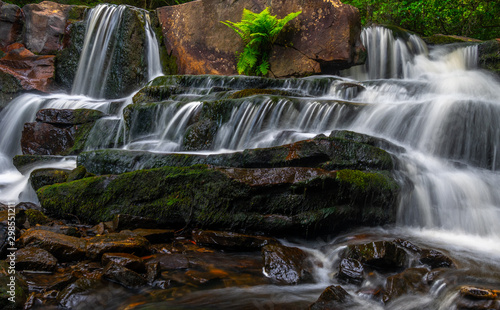 waterfall in the forest