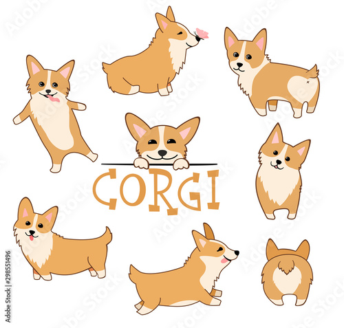 Cute Welsh Corgi puppy set. Funny dogs vector illustration in cartoon style