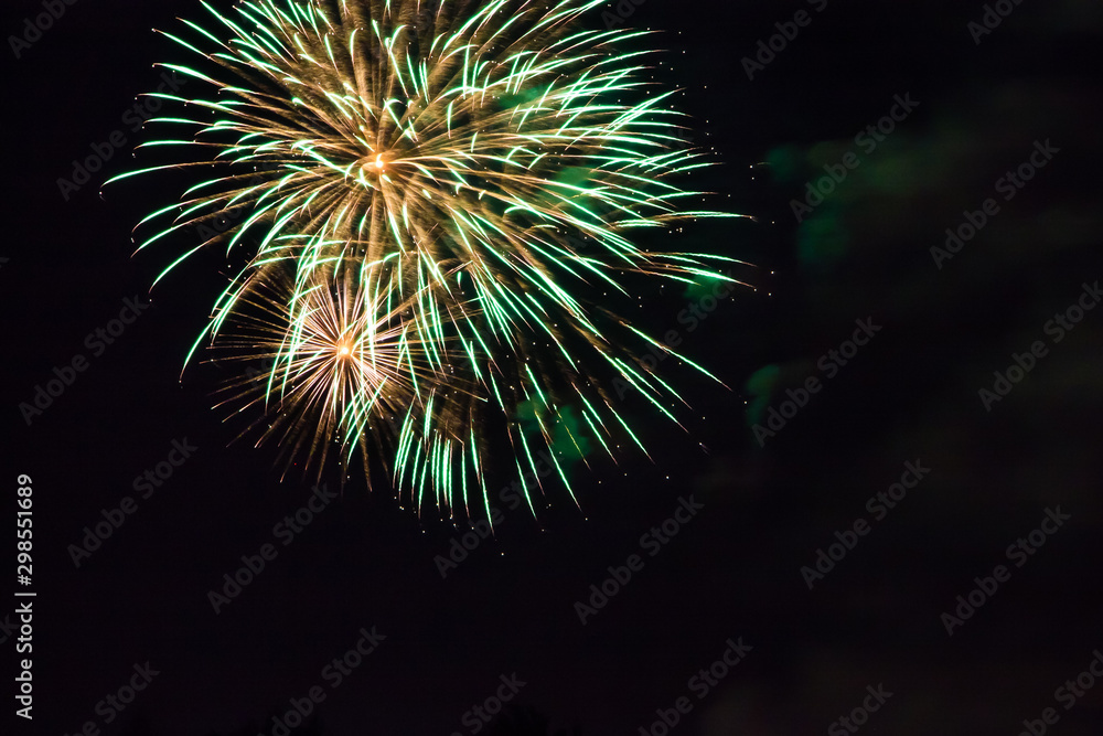 Fototapeta premium Festive beautiful fireworks in the sky. Celebrating the holiday with a bright salute