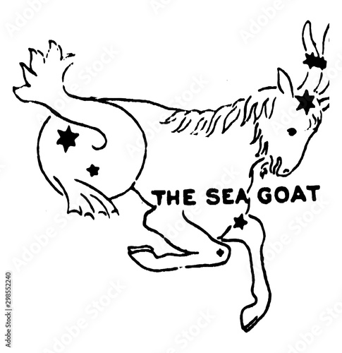 The Sea Goat vintage illustration.